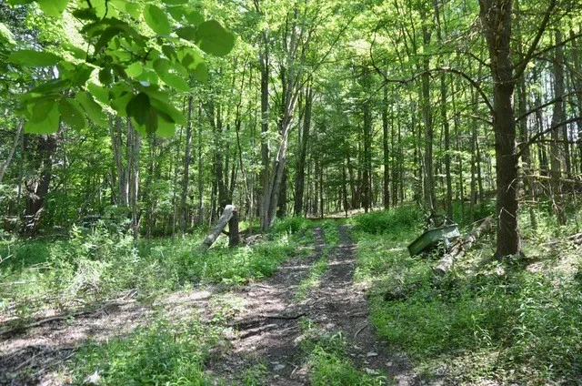 $45,000 | Breesport Road, Erin, NY 14838