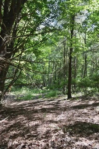 $45,000 | Breesport Road, Erin, NY 14838