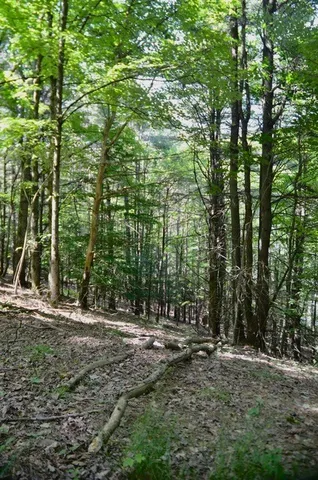 $45,000 | Breesport Road, Erin, NY 14838