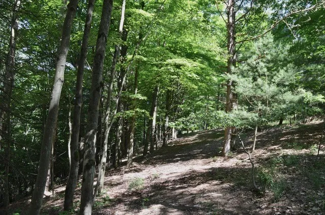 $45,000 | Breesport Road, Erin, NY 14838