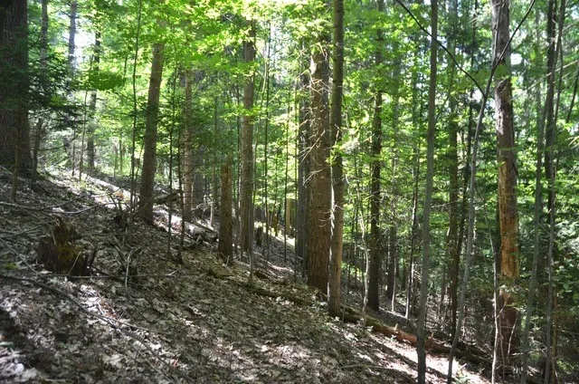 $45,000 | Breesport Road, Erin, NY 14838