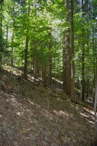 $45,000 | Breesport Road, Erin, NY 14838