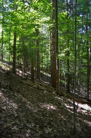 $45,000 | Breesport Road, Erin, NY 14838