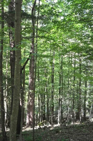 $45,000 | Breesport Road, Erin, NY 14838