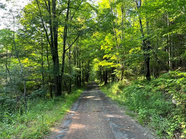 $45,000 | Breesport Road, Erin, NY 14838