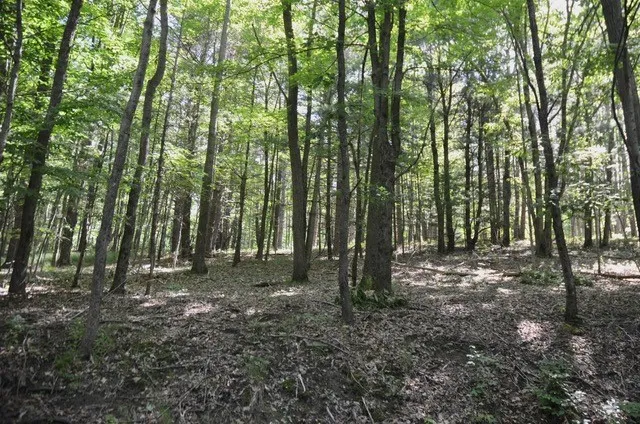 $45,000 | Breesport Road, Erin, NY 14838