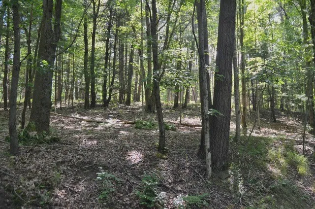 $45,000 | Breesport Road, Erin, NY 14838