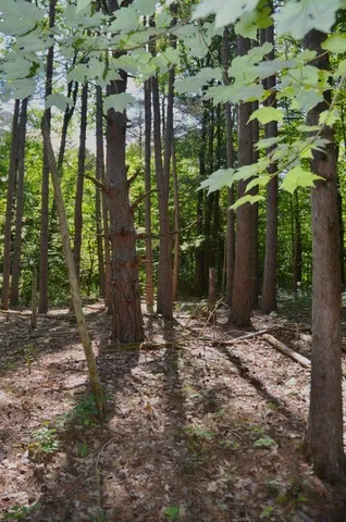 $45,000 | Breesport Road, Erin, NY 14838