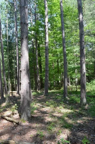 $45,000 | Breesport Road, Erin, NY 14838