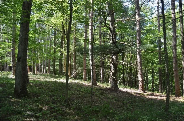 $45,000 | Breesport Road, Erin, NY 14838