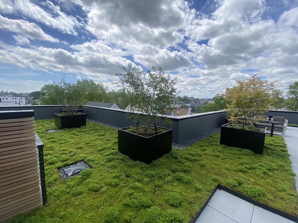 154 Broadway, Unit 507 Somerville, MA 02145 - Photo 12 of 31 a view of a terrace with a garden