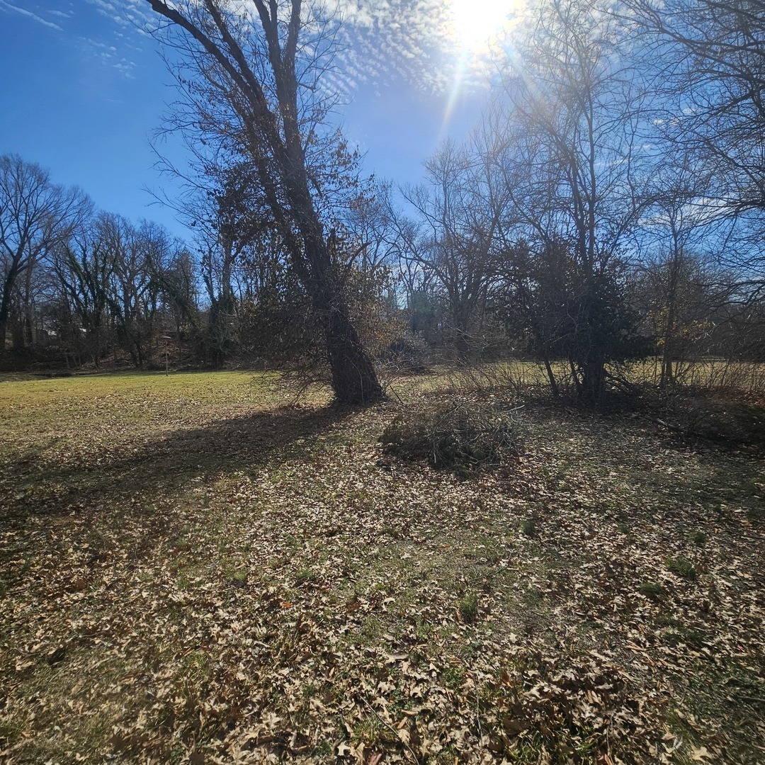 1005 Pace Avenue Mount Vernon, IL 62864 - Photo 10 of 23
