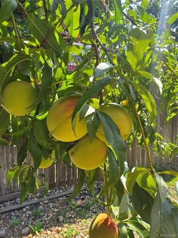a view of a swimming pool
