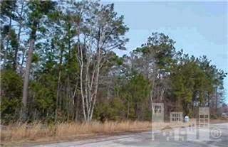 377 Beaver Ridge Riegelwood, NC 28456 - Photo 1 of 1 Primary Photo