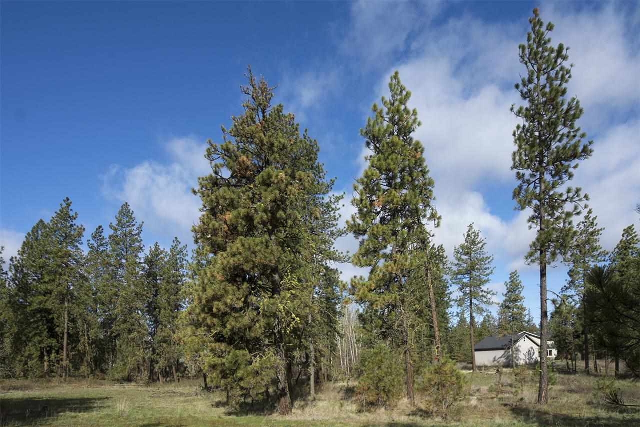 1607 West Paradise Road Spokane, WA 99224 - Photo 18 of 20