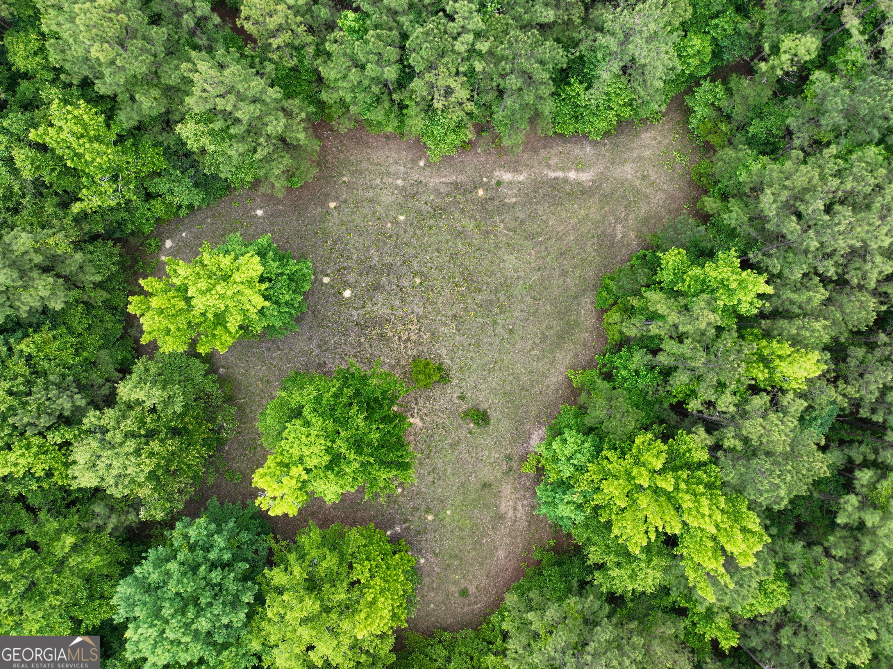 1099 Dixon Road Sparta, GA 31087 - Photo 11 of 51 a view of a garden with a pathway