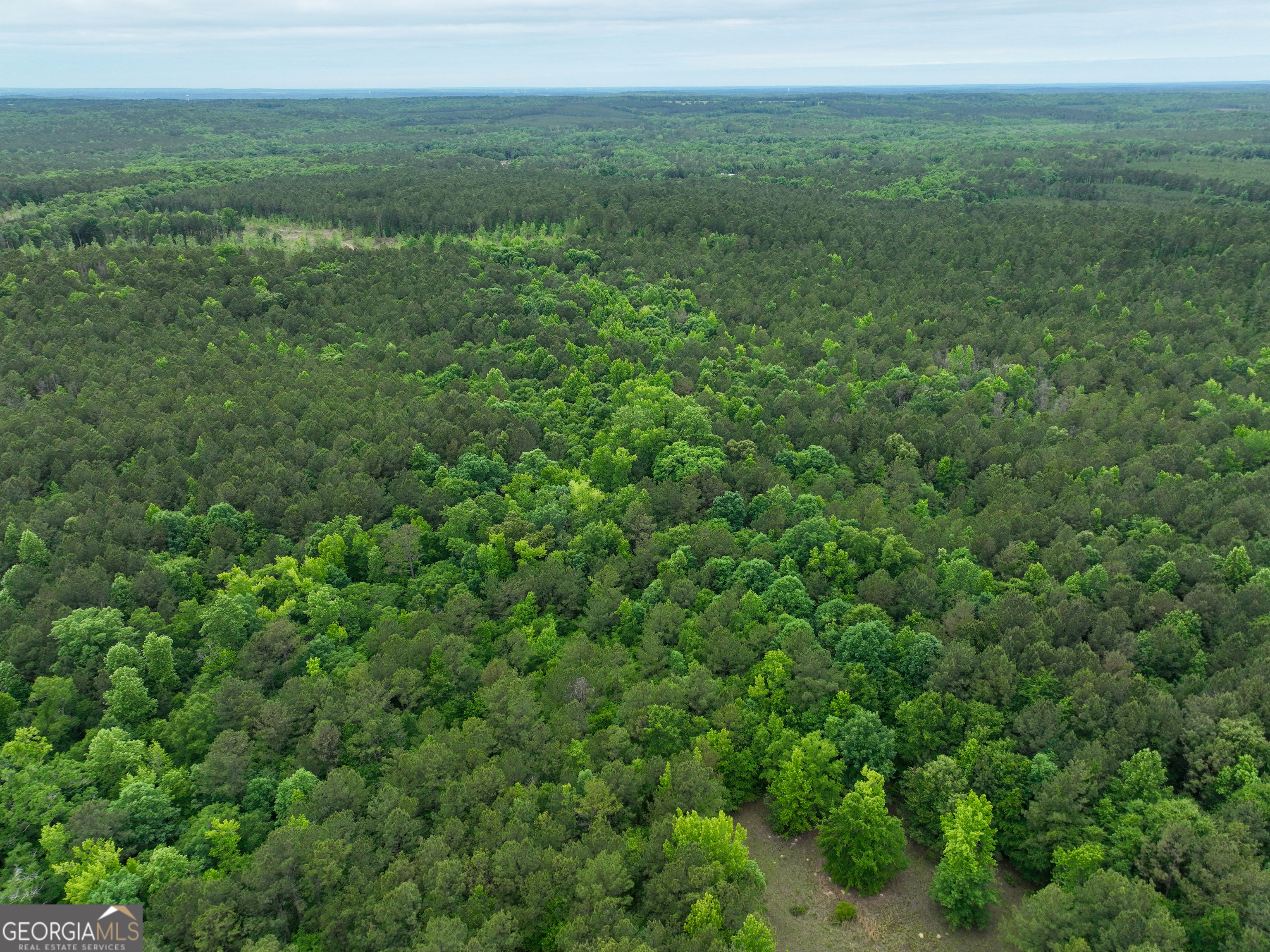 1099 Dixon Road Sparta, GA 31087 - Photo 12 of 51 a view of a field with an ocean view