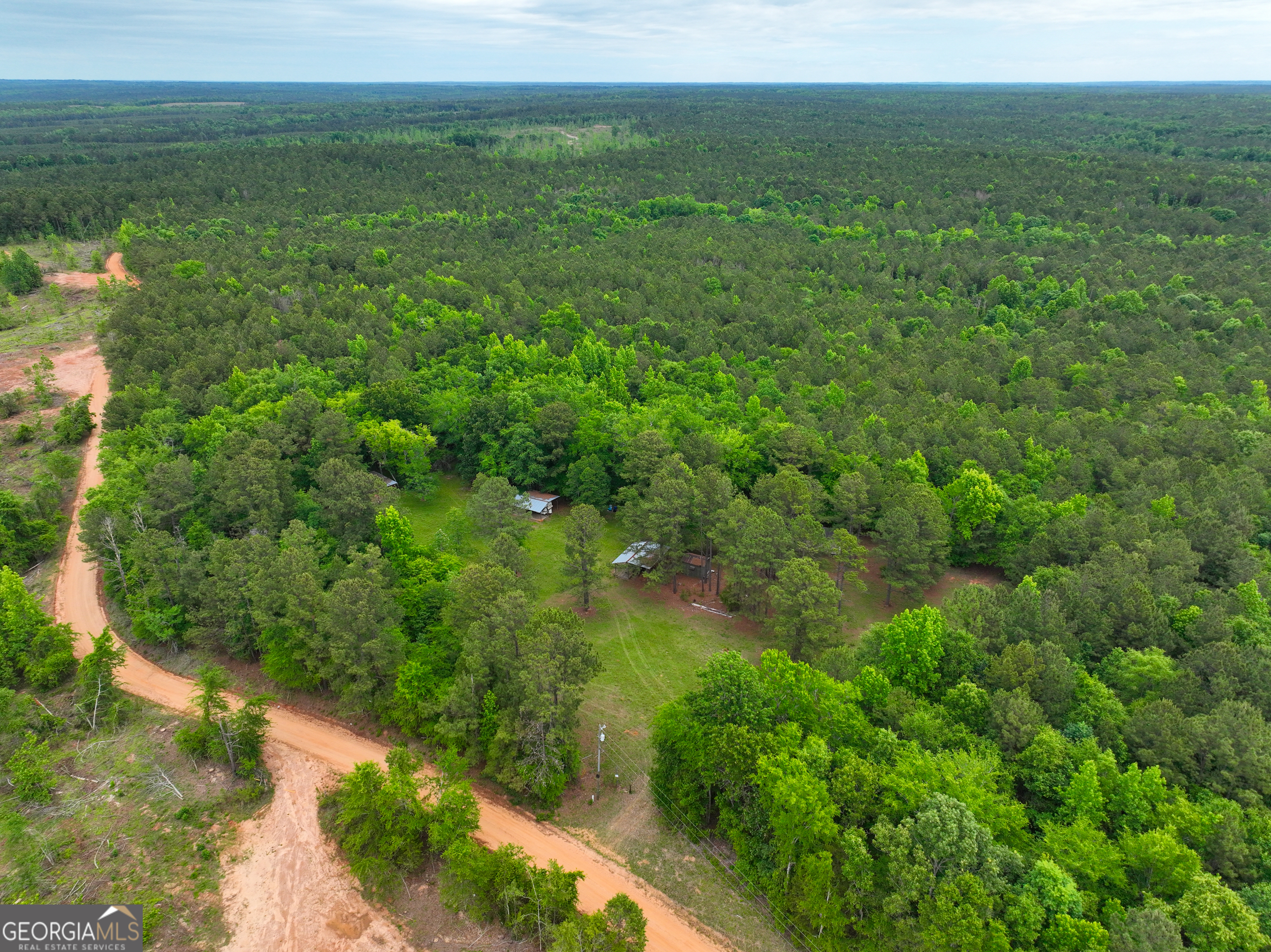 1099 Dixon Road Sparta, GA 31087 - Photo 15 of 51 a view of a green field with lots of bushes