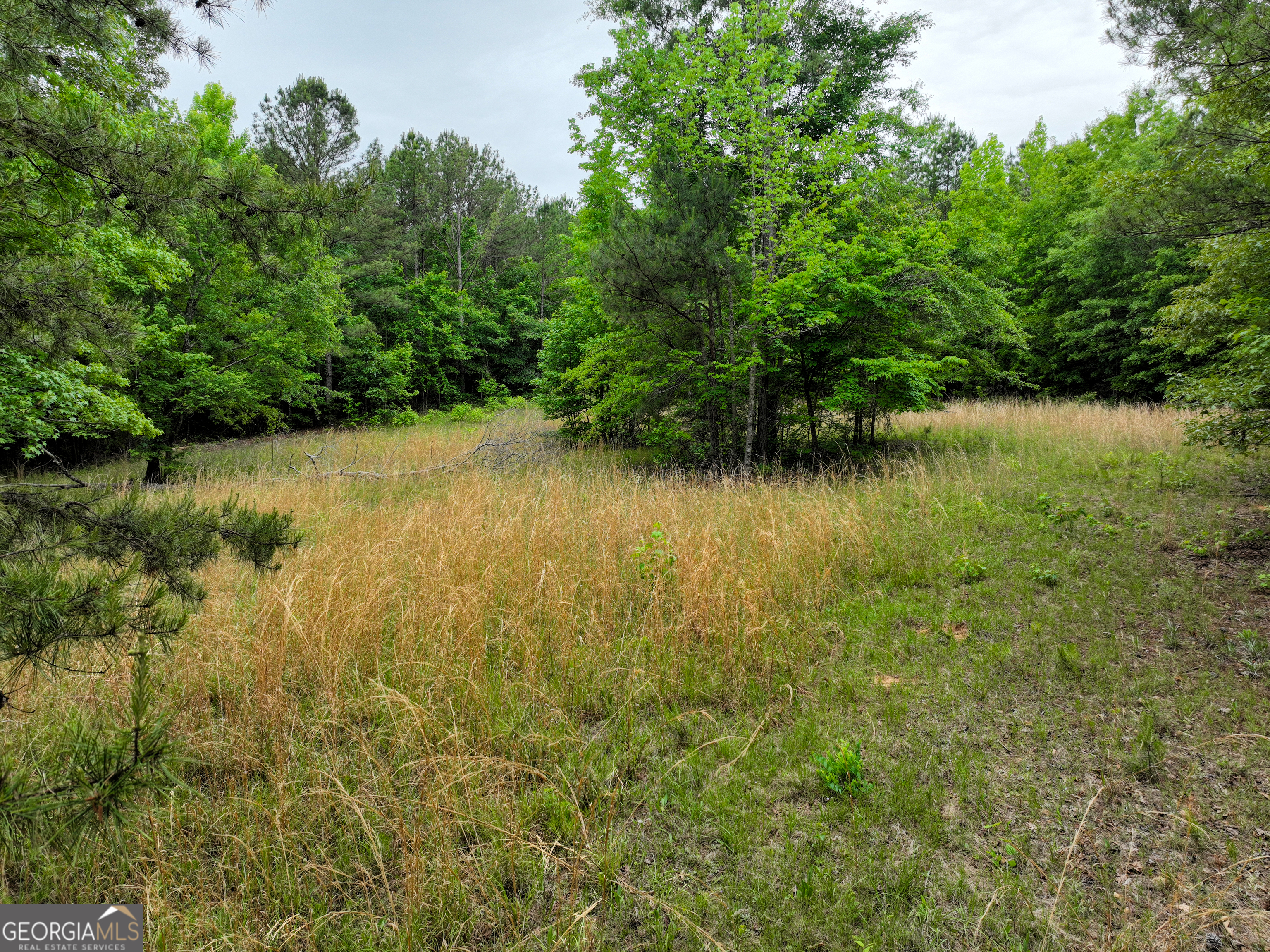 1099 Dixon Road Sparta, GA 31087 - Photo 4 of 51 a view of a lake view