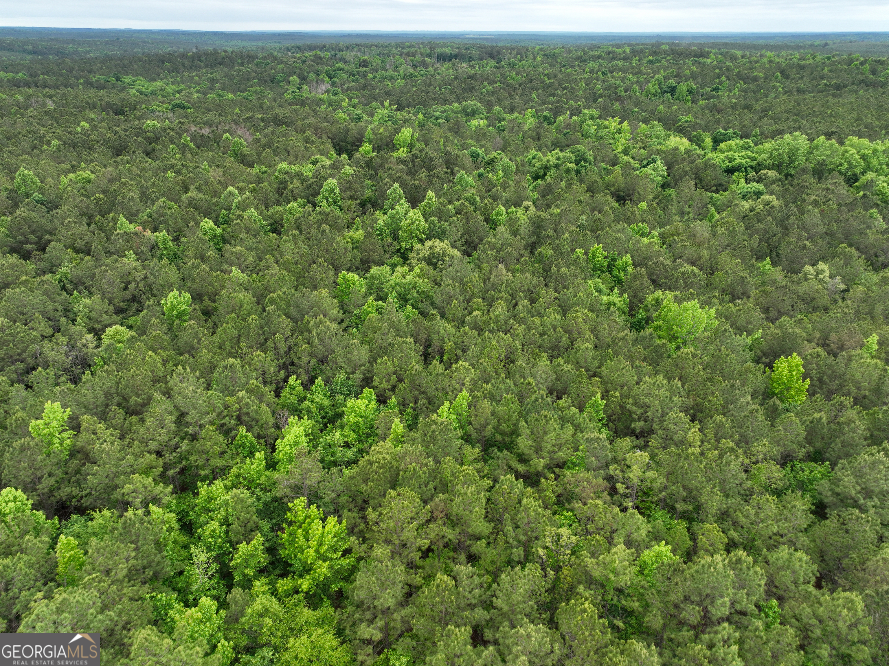 1099 Dixon Road Sparta, GA 31087 - Photo 43 of 51 an aerial view of residential houses with outdoor space and trees