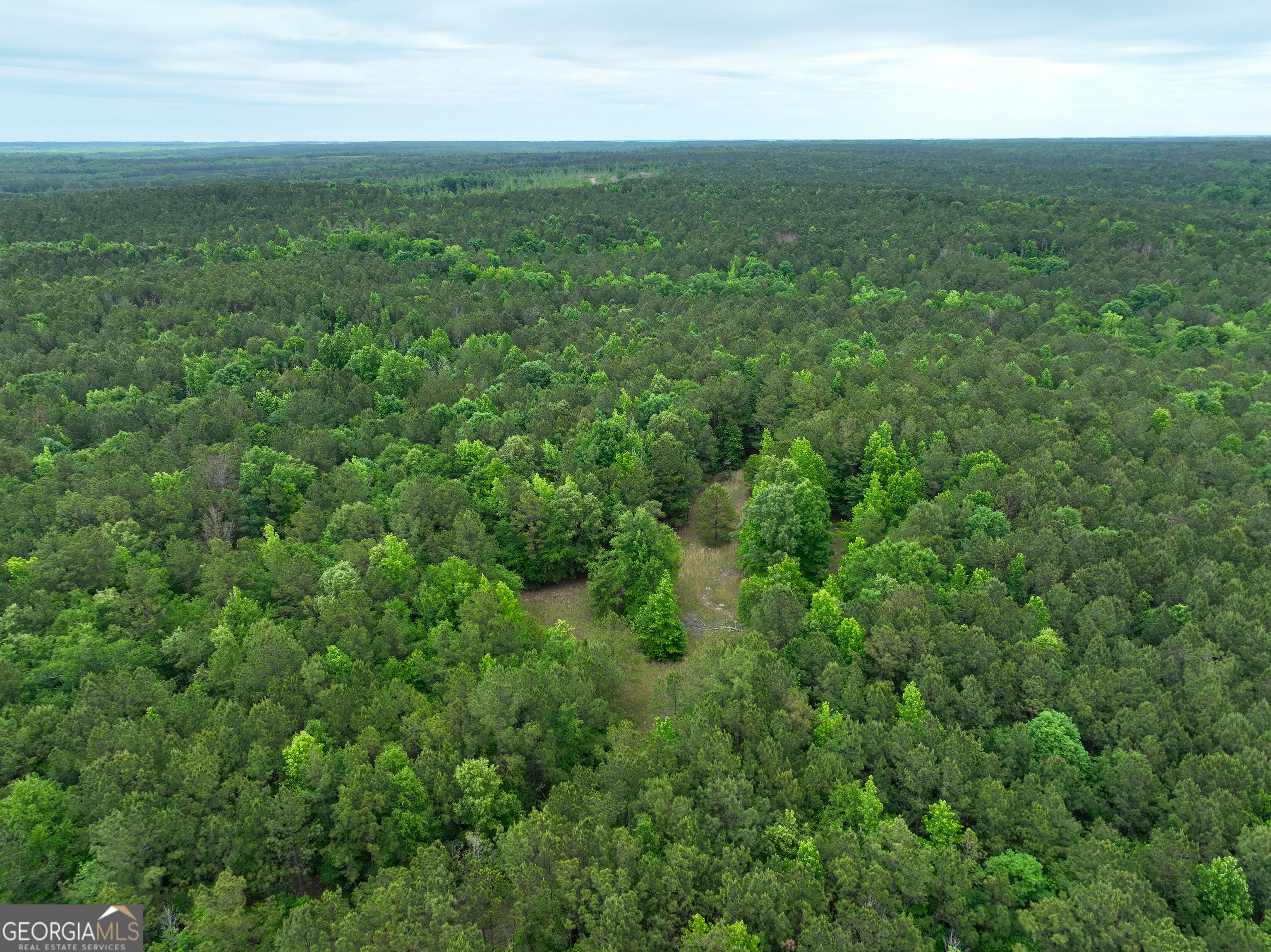 1099 Dixon Road Sparta, GA 31087 - Photo 44 of 51 an aerial view of residential houses with outdoor space and trees