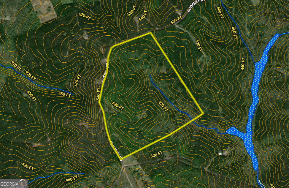 1099 Dixon Road Sparta, GA 31087 - Photo 50 of 51 a close up of a green field