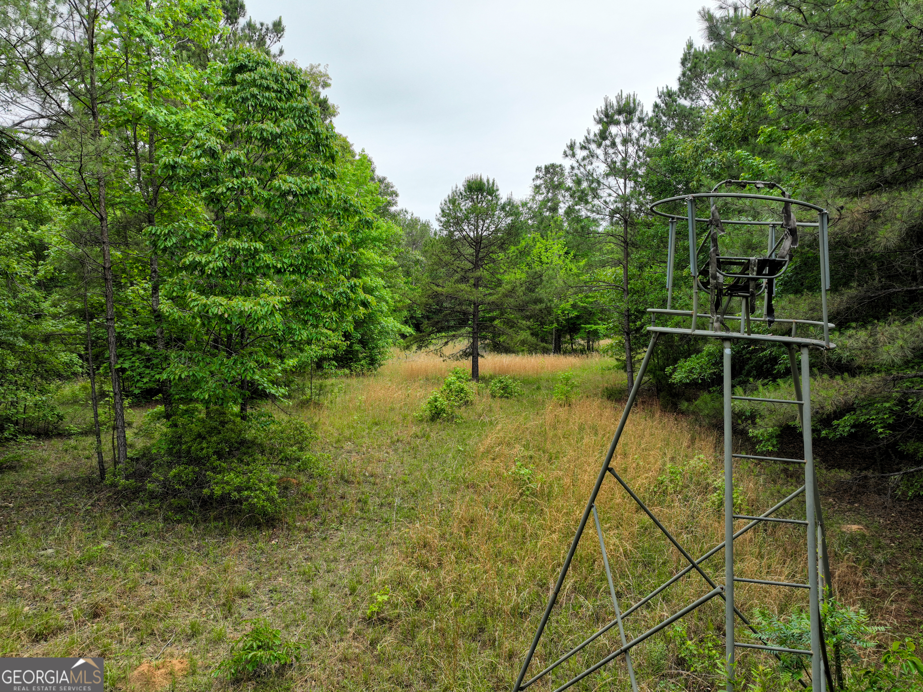 1099 Dixon Road Sparta, GA 31087 - Photo 5 of 51