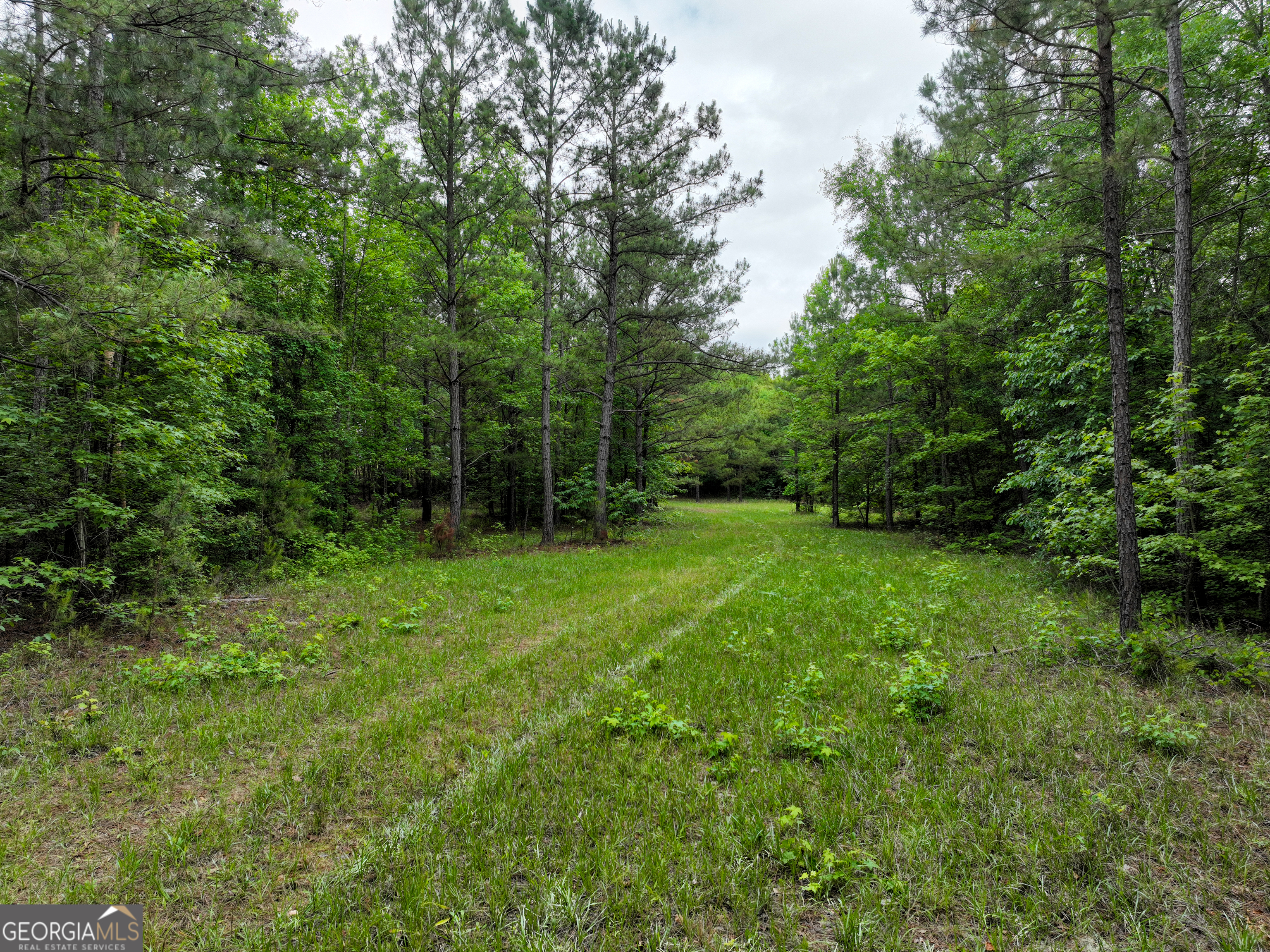 1099 Dixon Road Sparta, GA 31087 - Photo 6 of 51 a view of outdoor space and yard