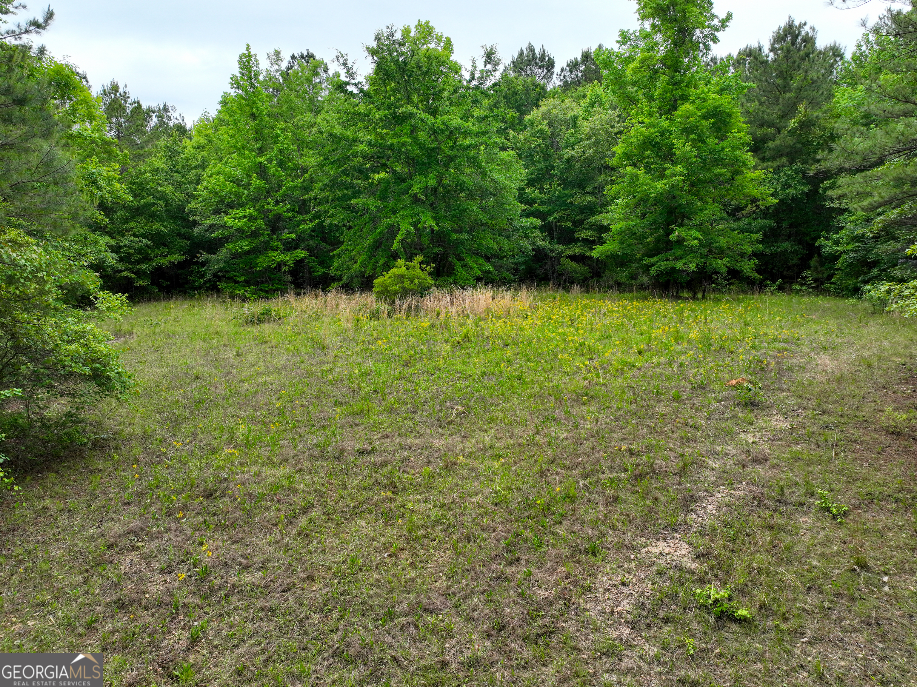 1099 Dixon Road Sparta, GA 31087 - Photo 10 of 51 a view of a yard