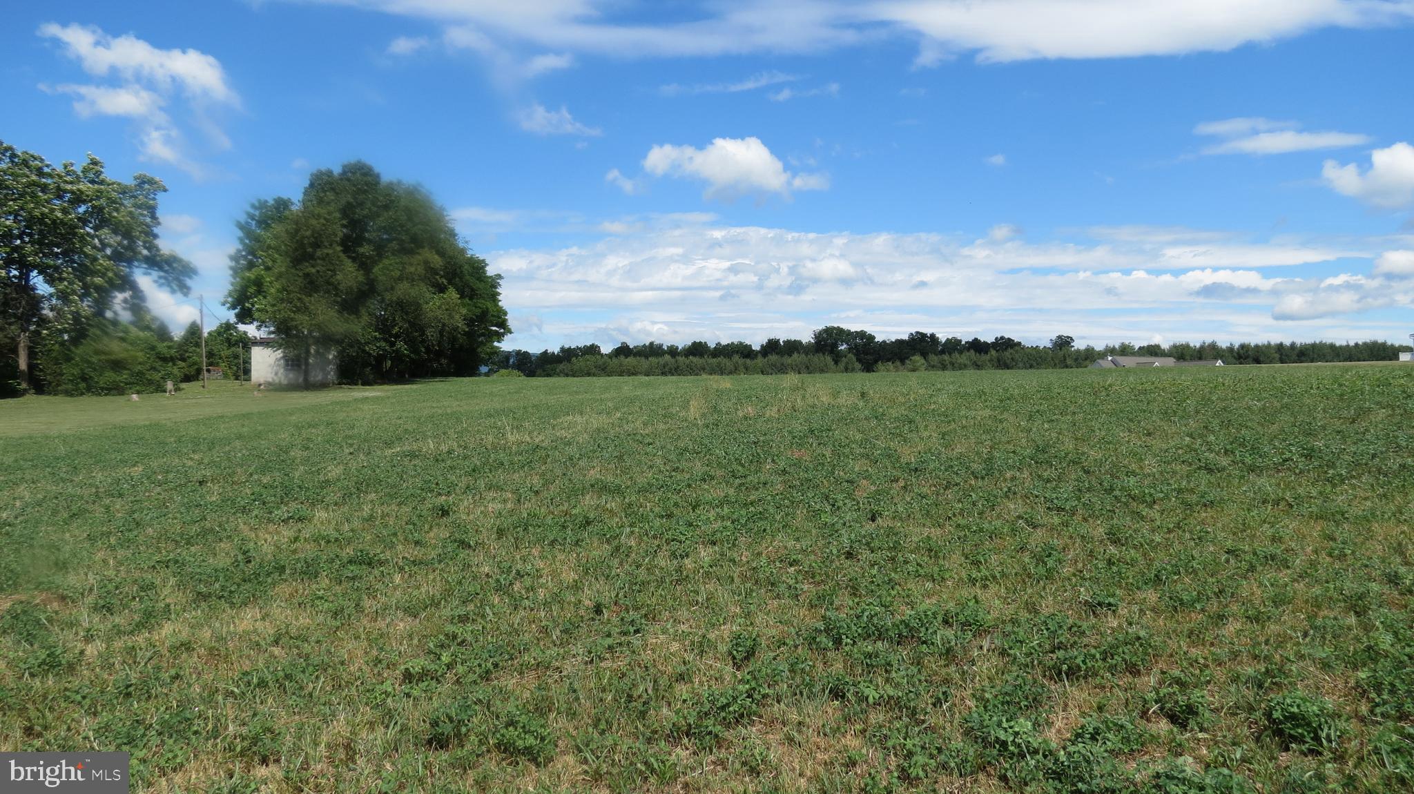 South Antioch Road Luray, VA 22835 - Photo 1 of 6 Beautiful level lot.