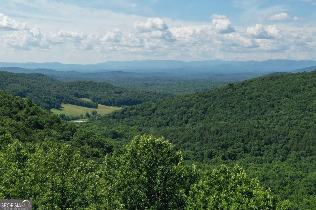 270 R Stone Cliff Drive Talking Rock, GA 30175 - Photo 12 of 30 a view of a field of grass and trees