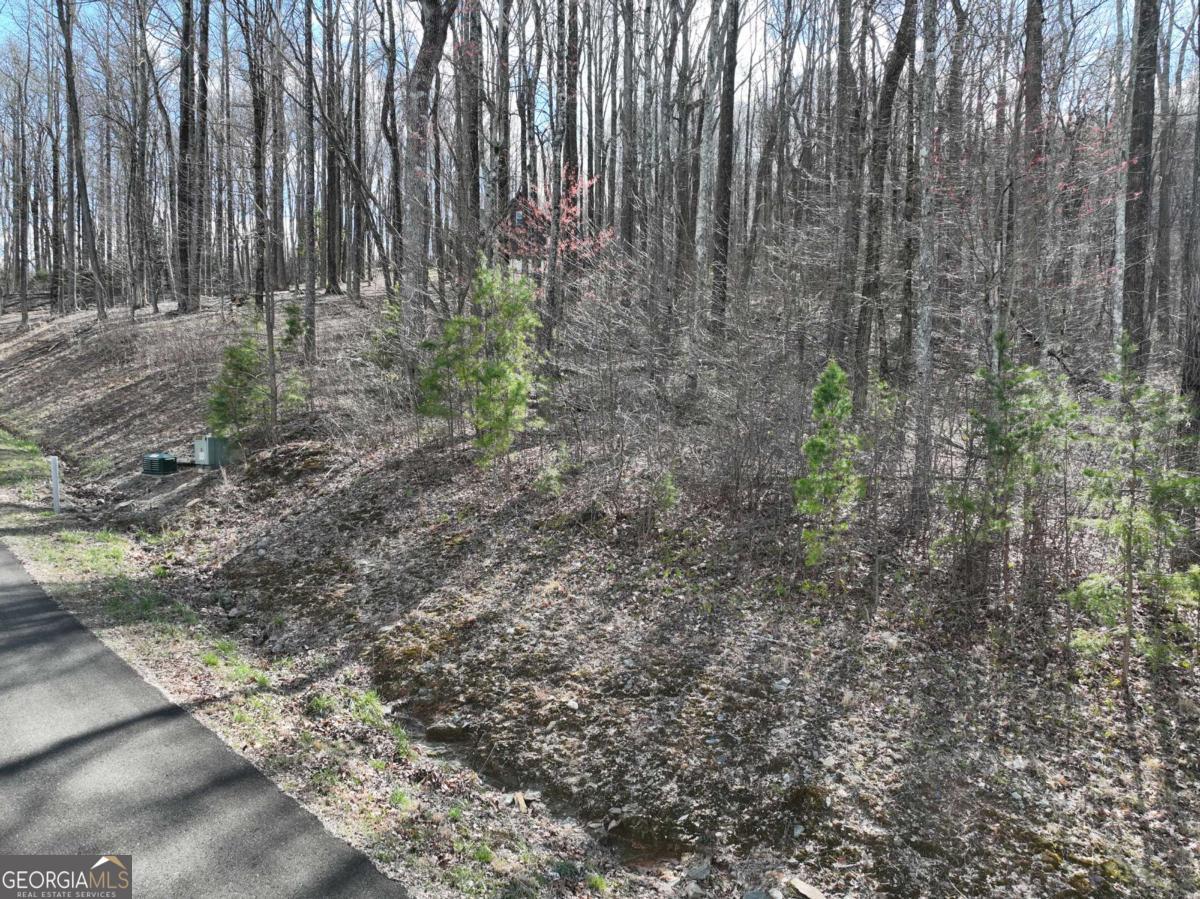270 R Stone Cliff Drive Talking Rock, GA 30175 - Photo 13 of 30 a view of a yard with plants and wooden fence