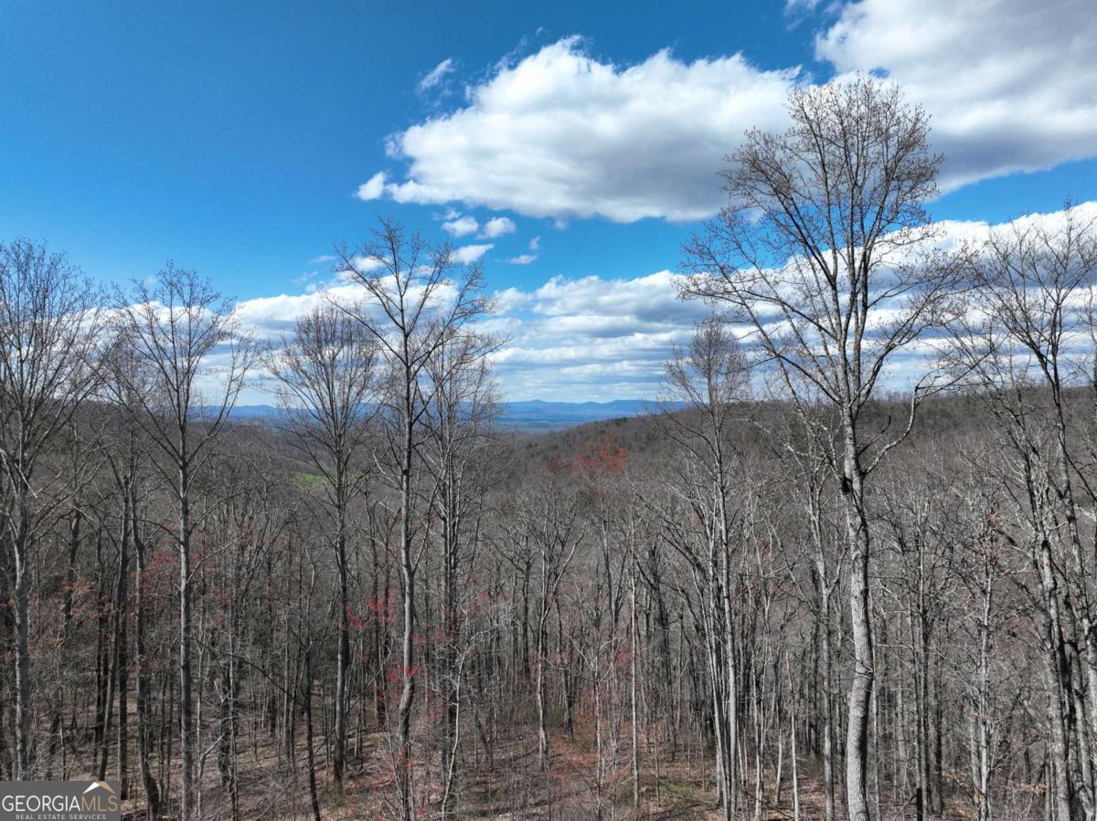 270 R Stone Cliff Drive Talking Rock, GA 30175 - Photo 15 of 30 a view of a forest