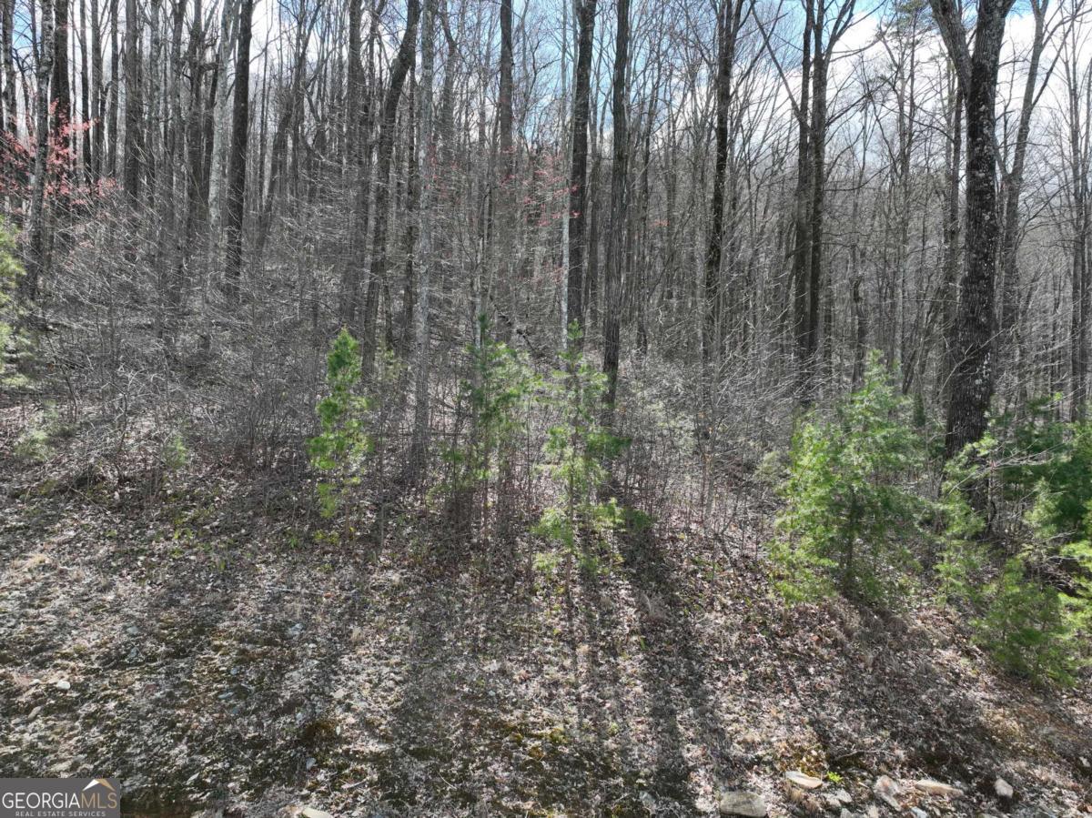 270 R Stone Cliff Drive Talking Rock, GA 30175 - Photo 16 of 30 a view of forest