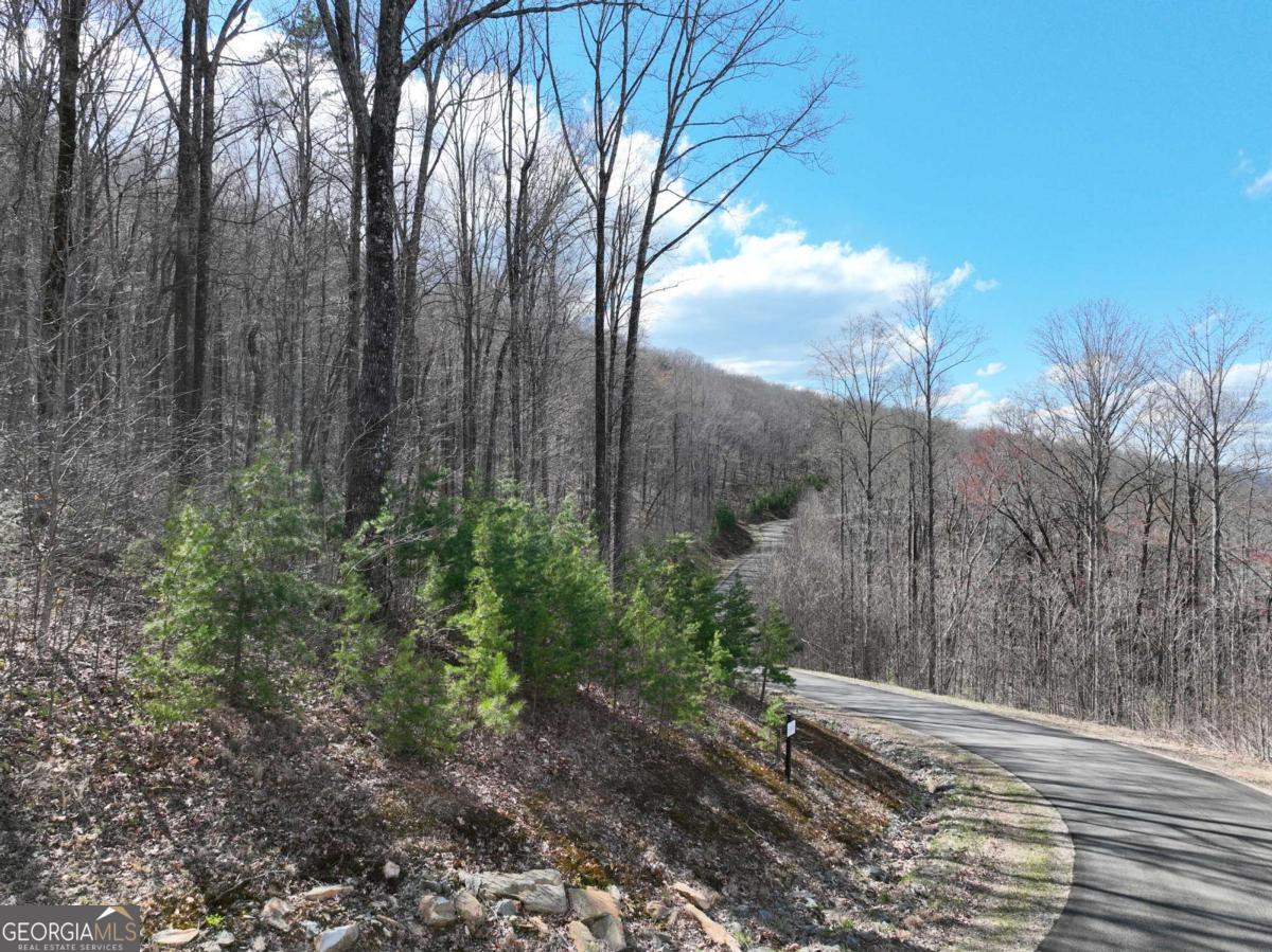 270 R Stone Cliff Drive Talking Rock, GA 30175 - Photo 17 of 30 a view of a backyard of the house