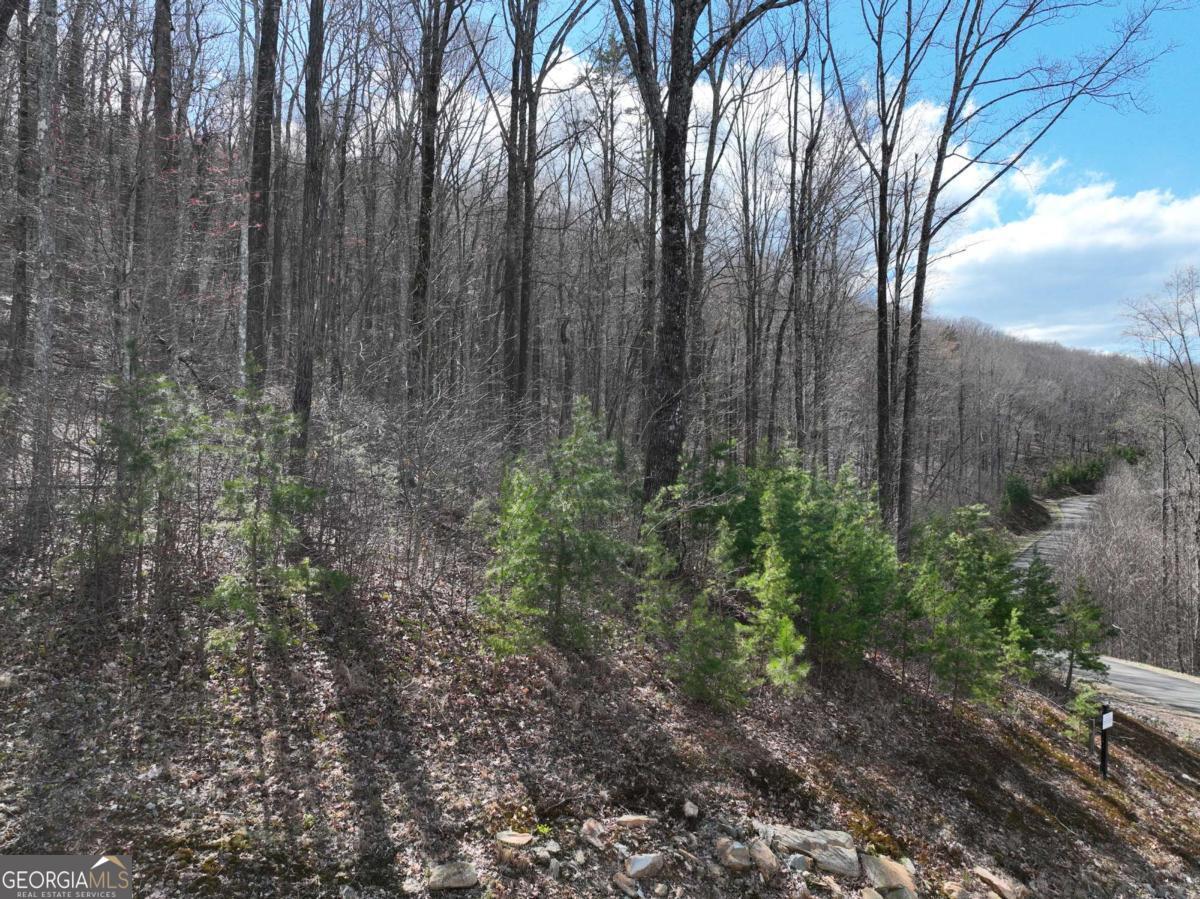 270 R Stone Cliff Drive Talking Rock, GA 30175 - Photo 19 of 30 a view of backyard with green space