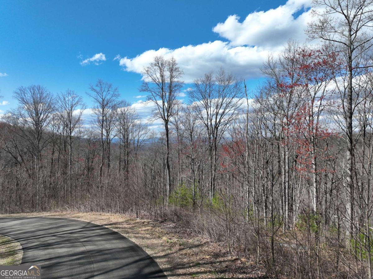 270 R Stone Cliff Drive Talking Rock, GA 30175 - Photo 20 of 30 a view of a backyard of a house
