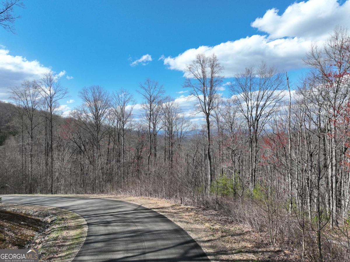 270 R Stone Cliff Drive Talking Rock, GA 30175 - Photo 21 of 30 a view of a backyard of the house