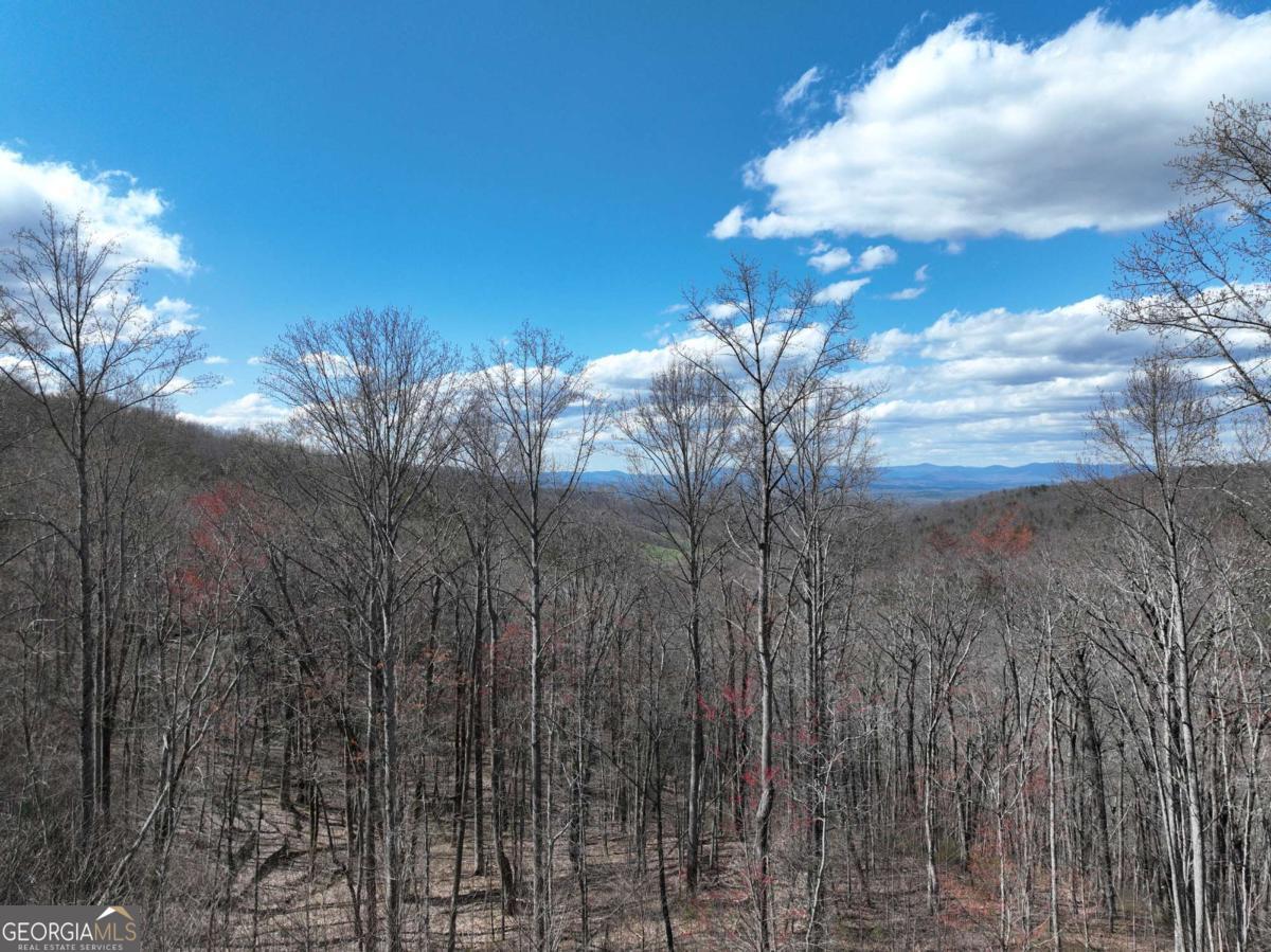 270 R Stone Cliff Drive Talking Rock, GA 30175 - Photo 24 of 30 a view of a yard