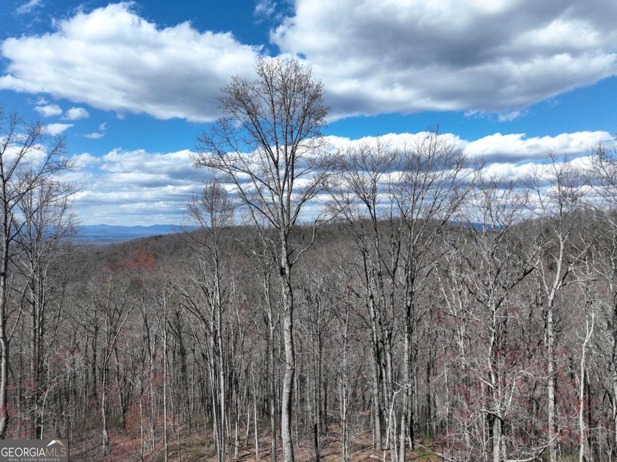 270 R Stone Cliff Drive Talking Rock, GA 30175 - Photo 25 of 30 a view of a sky from the background