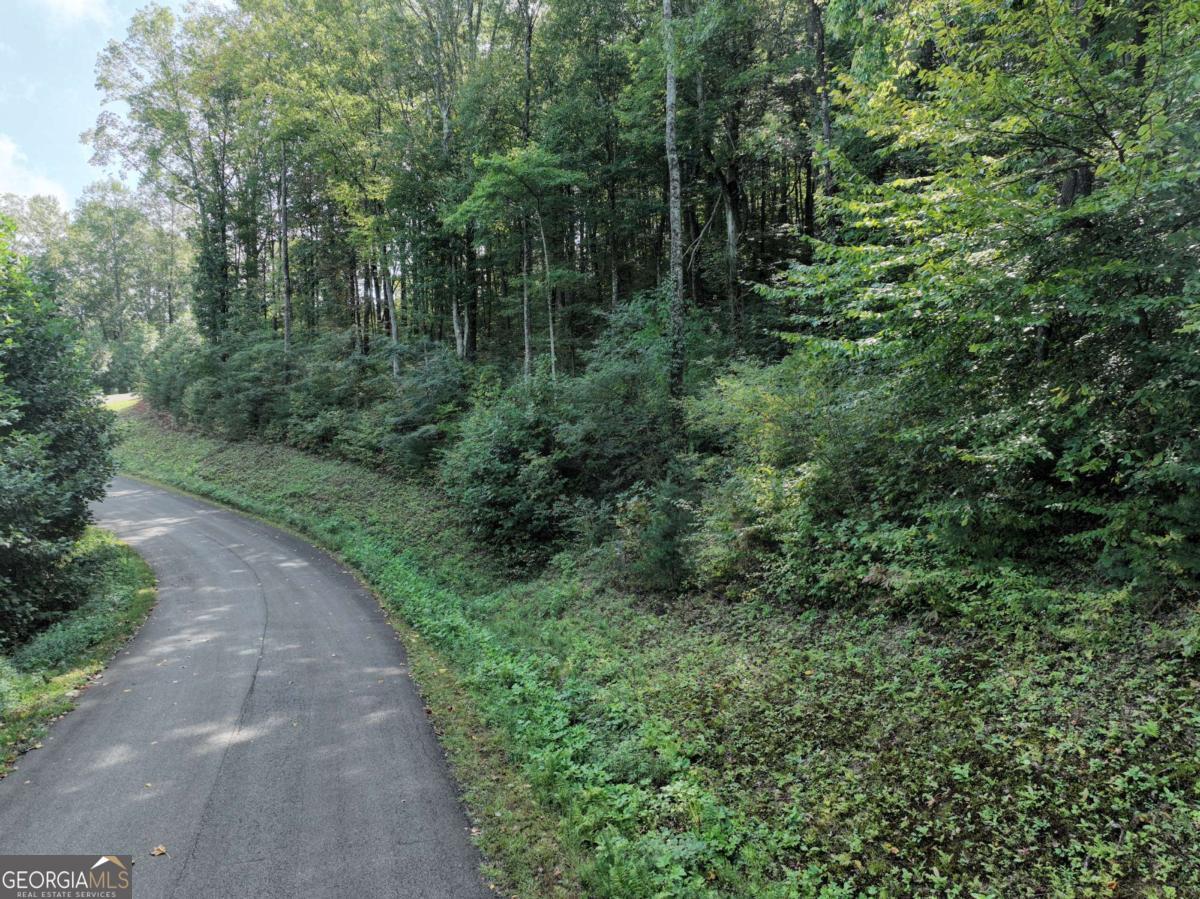 270 R Stone Cliff Drive Talking Rock, GA 30175 - Photo 29 of 30 a view of a forest with trees in the background