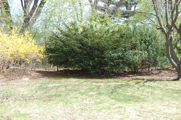 6 Winch Park Road Framingham, MA 01701 - Photo 13 of 13 Gallery Image 13