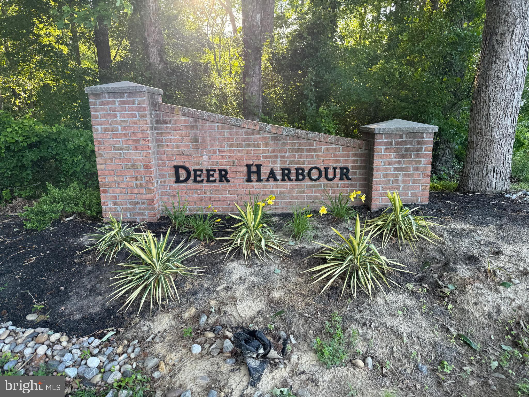 29745 Jackson Road Salisbury, MD 21804 - Photo 64 of 77