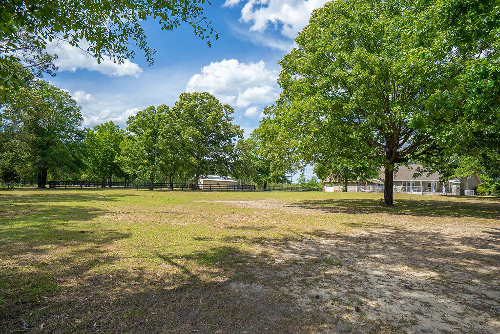 793 Flowing Well Road Wagener, SC 29164 - Photo 55 of 61