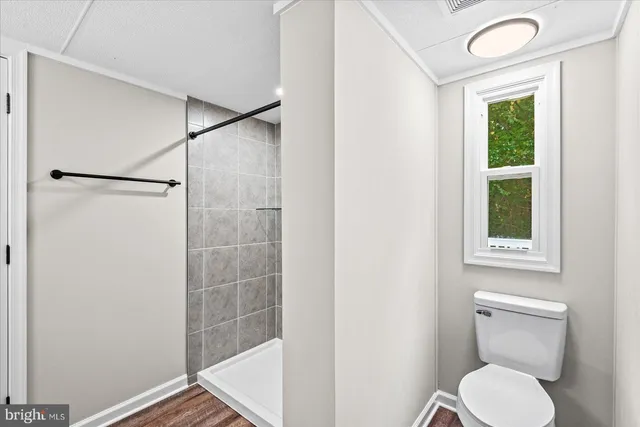 a bathroom with a shower and a toilet