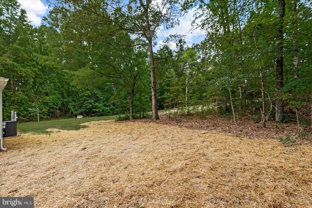 a view of a big yard