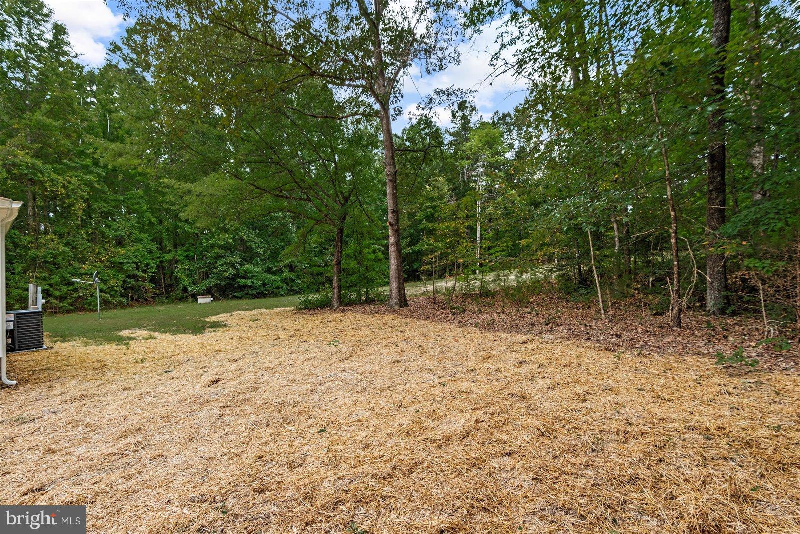 20105 Sparta Road Milford, VA 22514 - Photo 25 of 48 a backyard of a house with lots of trees