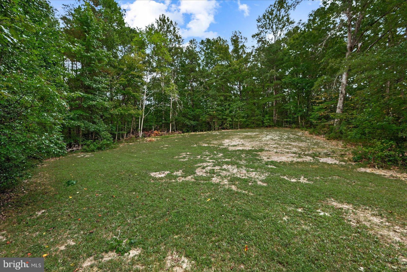 20105 Sparta Road Milford, VA 22514 - Photo 26 of 48 a view of a big yard