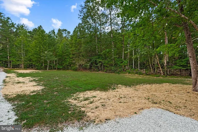 a view of a yard with large trees