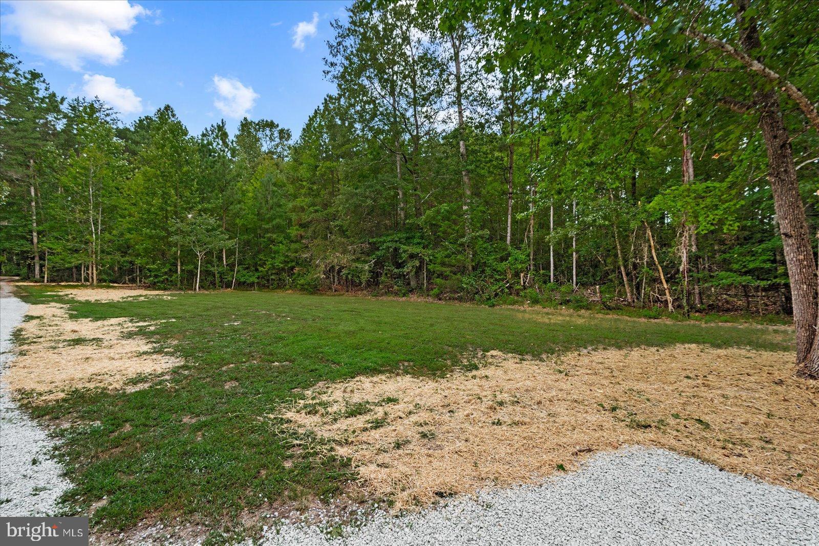 20105 Sparta Road Milford, VA 22514 - Photo 28 of 48 a view of a park